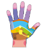 Handreflexzonen