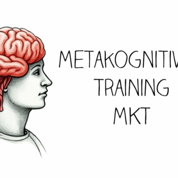 Metakognitives Training