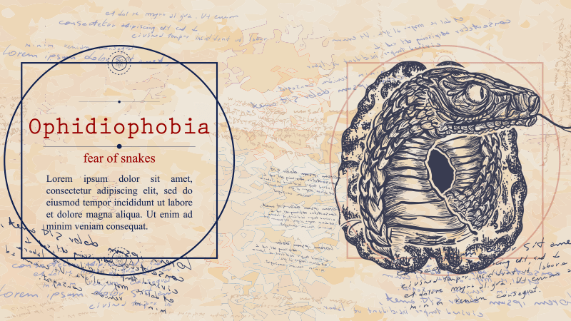 bh-800x450-Ophidiophobie Ophidiophobie