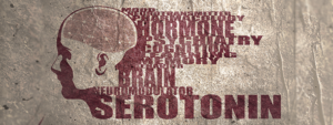 Serotonin-Defizit
