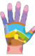 Handreflexzonen