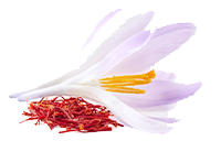 Safran