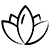 Lotus 01